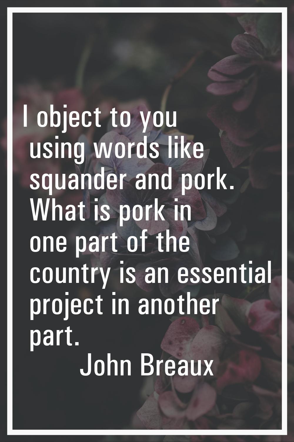 I object to you using words like squander and pork. What is pork in one part of the country is an e