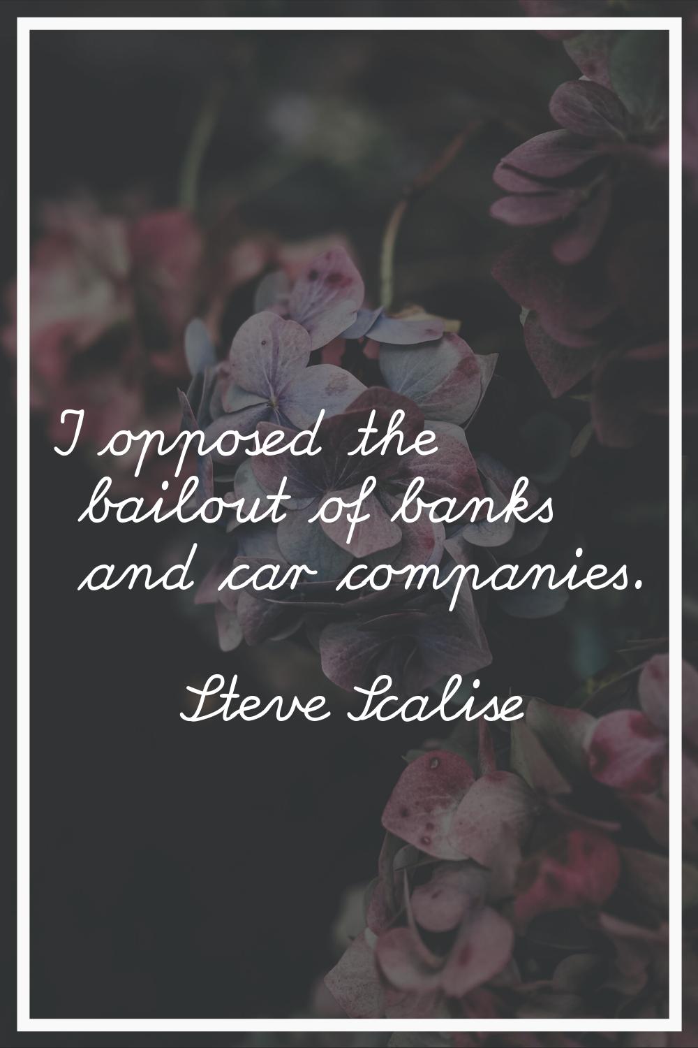 I opposed the bailout of banks and car companies.