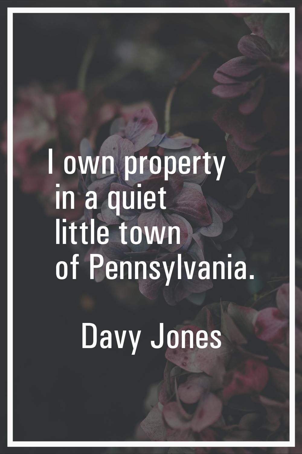 I own property in a quiet little town of Pennsylvania.