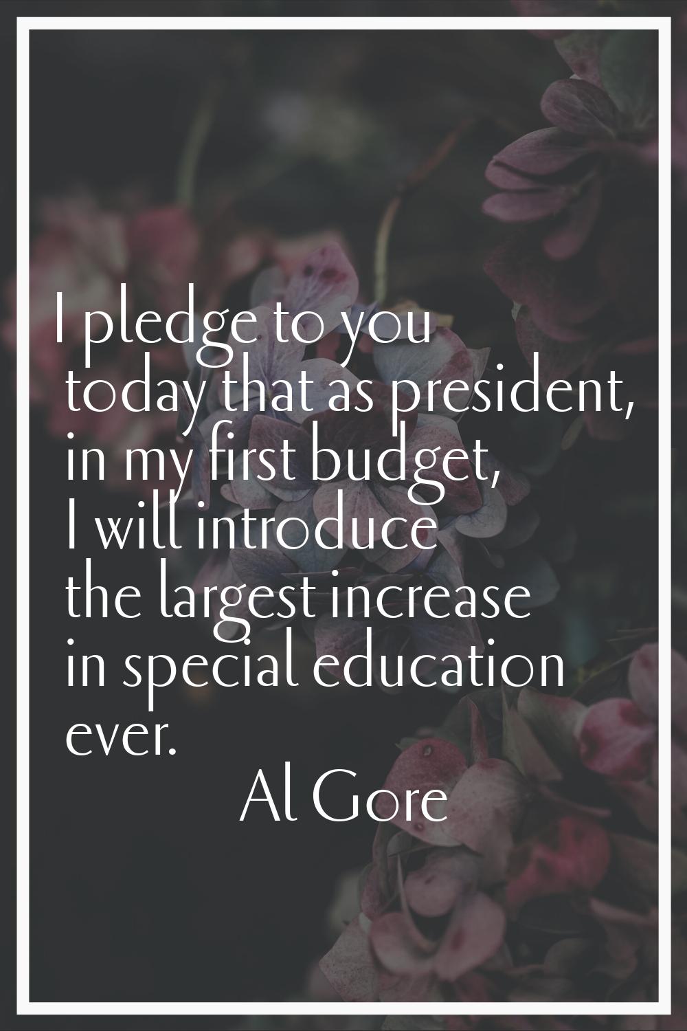 I pledge to you today that as president, in my first budget, I will introduce the largest increase 