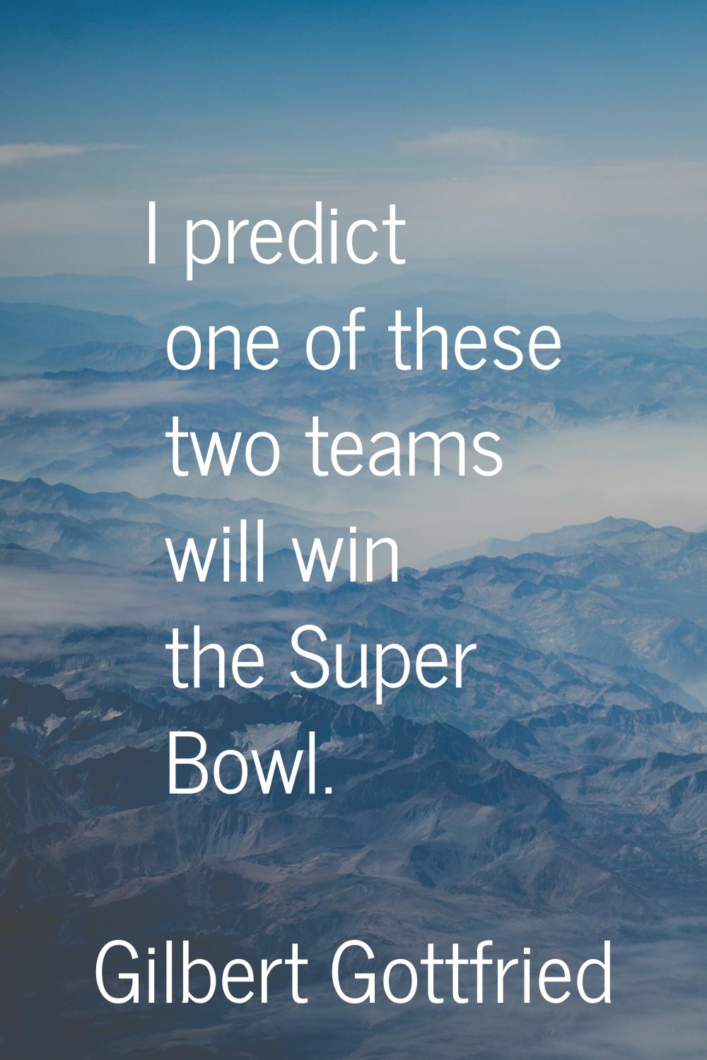 I predict one of these two teams will win the Super Bowl.