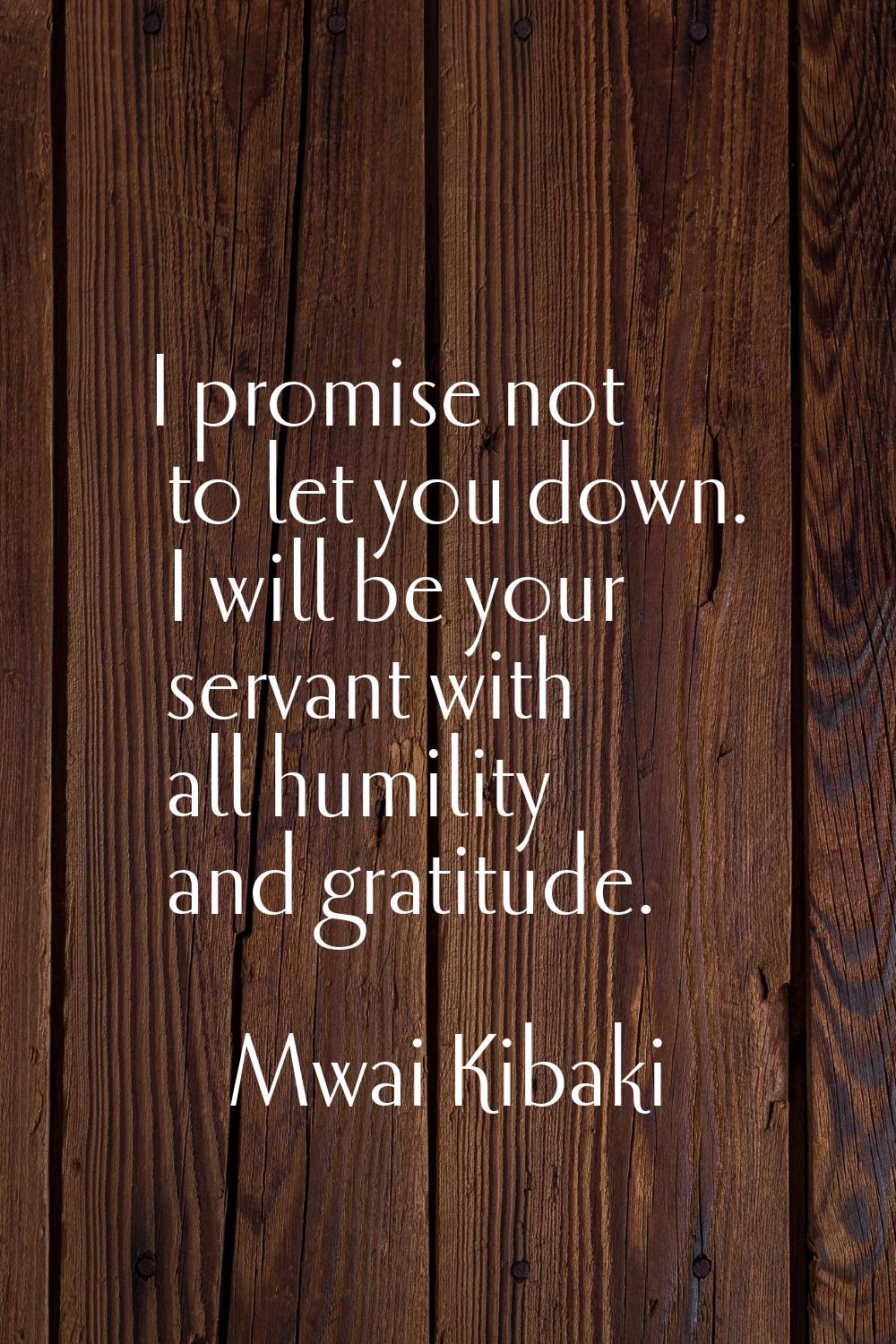 I promise not to let you down. I will be your servant with all humility and gratitude.