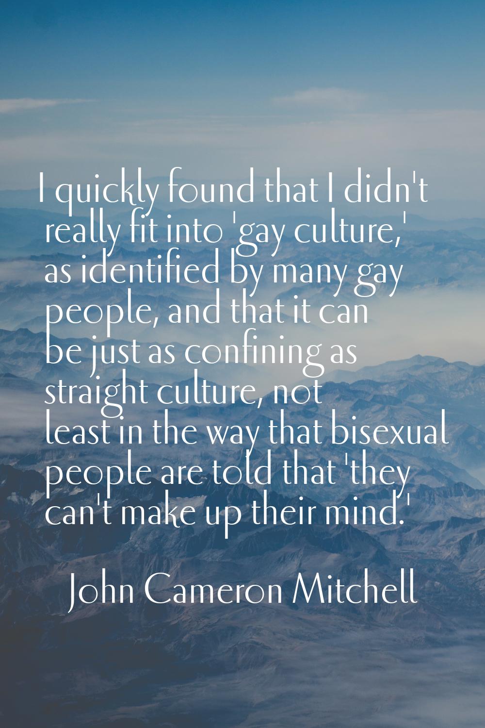 I quickly found that I didn't really fit into 'gay culture,' as identified by many gay people, and 