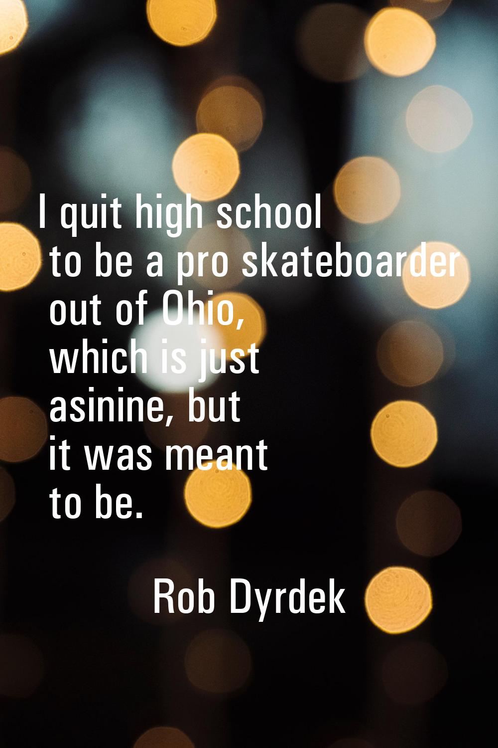 I quit high school to be a pro skateboarder out of Ohio, which is just asinine, but it was meant to