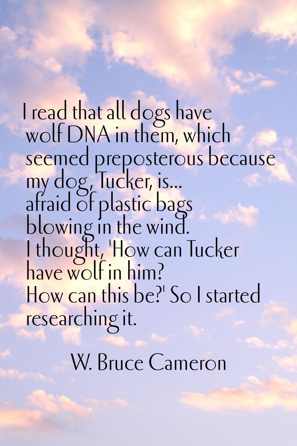 I read that all dogs have wolf DNA in them, which seemed preposterous because my dog, Tucker, is...