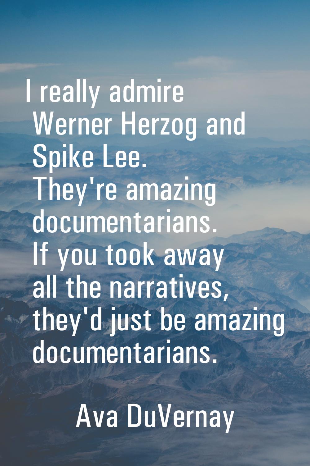 I really admire Werner Herzog and Spike Lee. They're amazing documentarians. If you took away all t