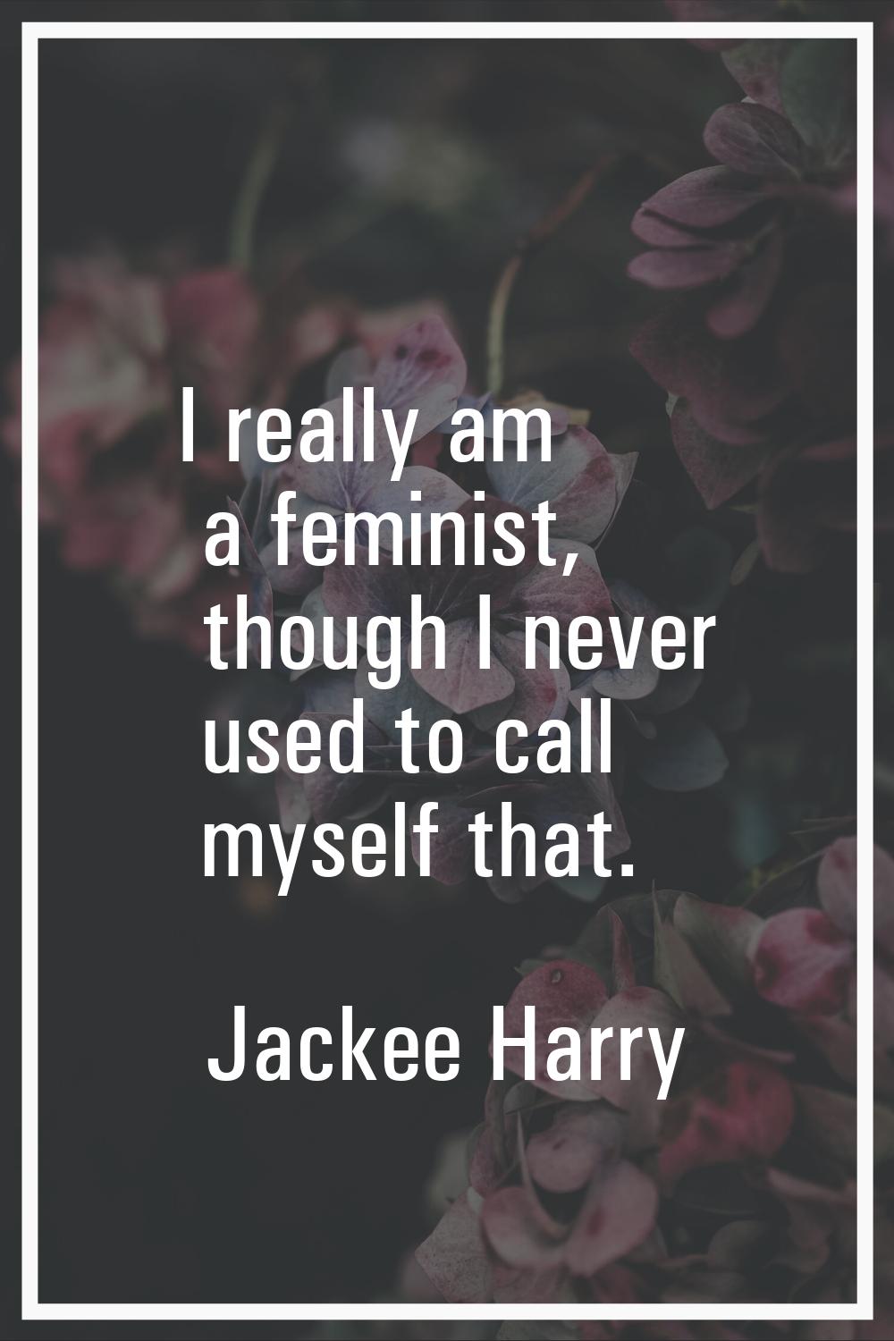 I really am a feminist, though I never used to call myself that.