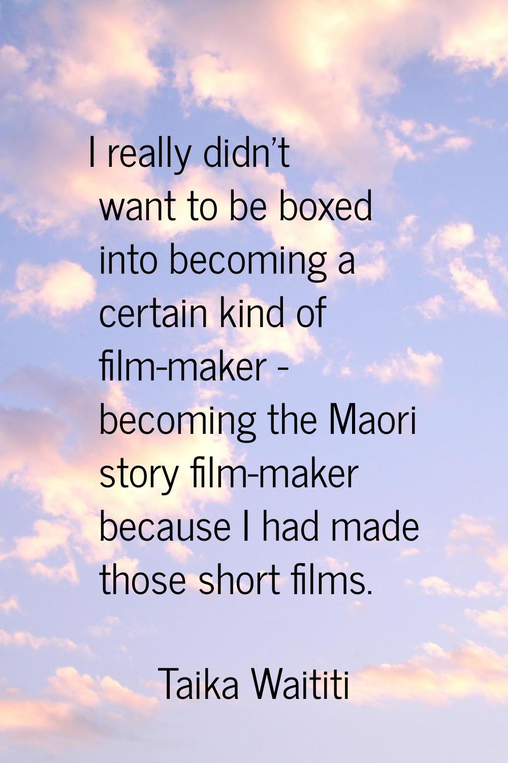I really didn't want to be boxed into becoming a certain kind of film-maker - becoming the Maori st