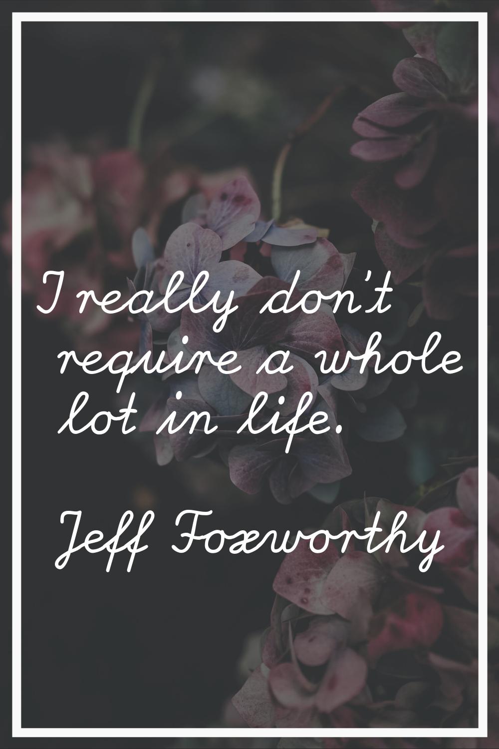 I really don't require a whole lot in life.