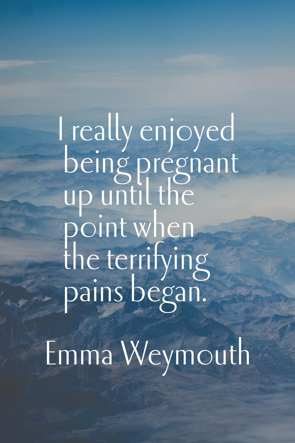 I really enjoyed being pregnant up until the point when the terrifying pains began.