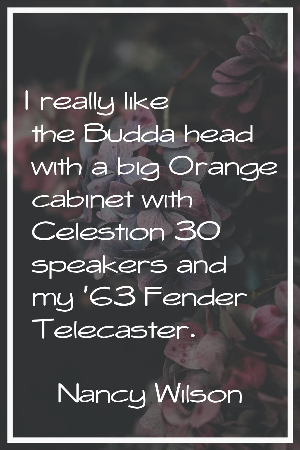 I really like the Budda head with a big Orange cabinet with Celestion 30 speakers and my '63 Fender