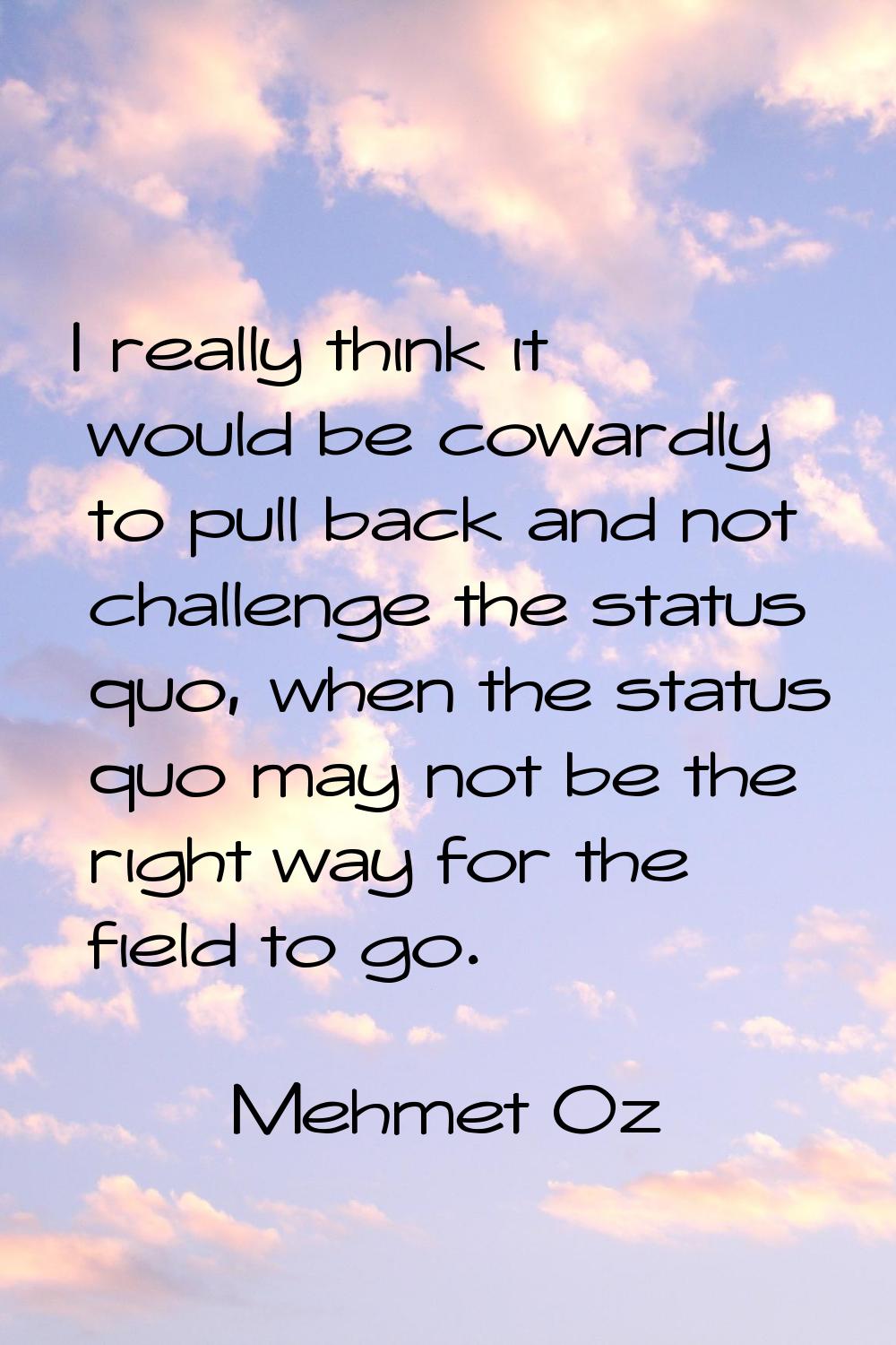 I really think it would be cowardly to pull back and not challenge the status quo, when the status 