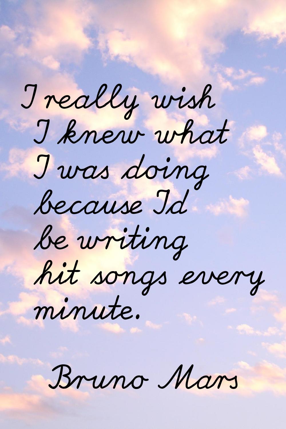 I really wish I knew what I was doing because I'd be writing hit songs every minute.