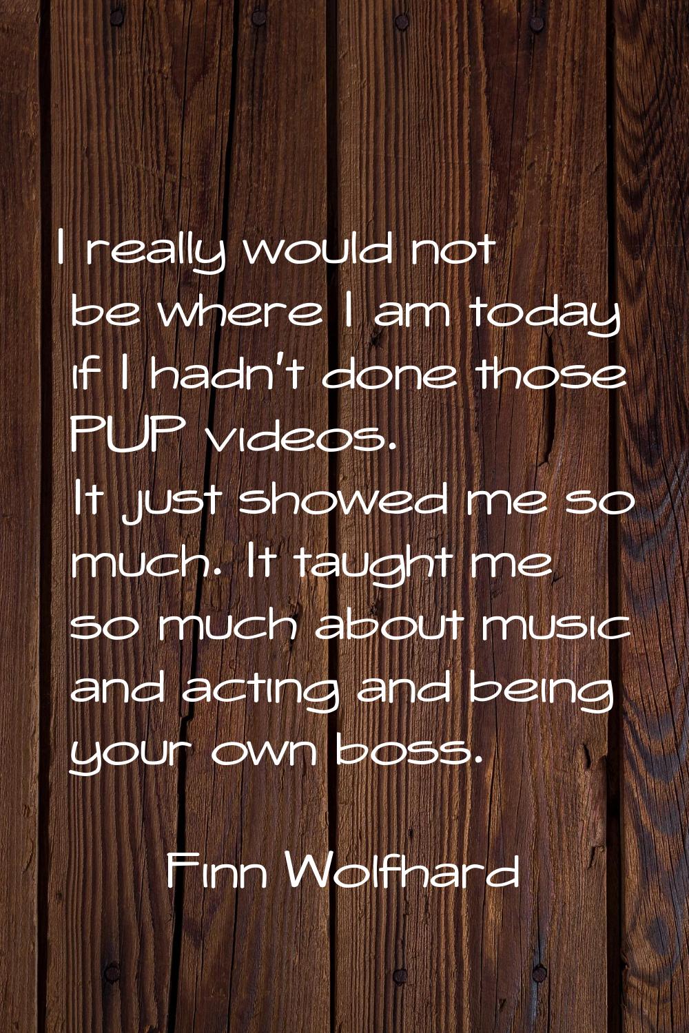I really would not be where I am today if I hadn't done those PUP videos. It just showed me so much