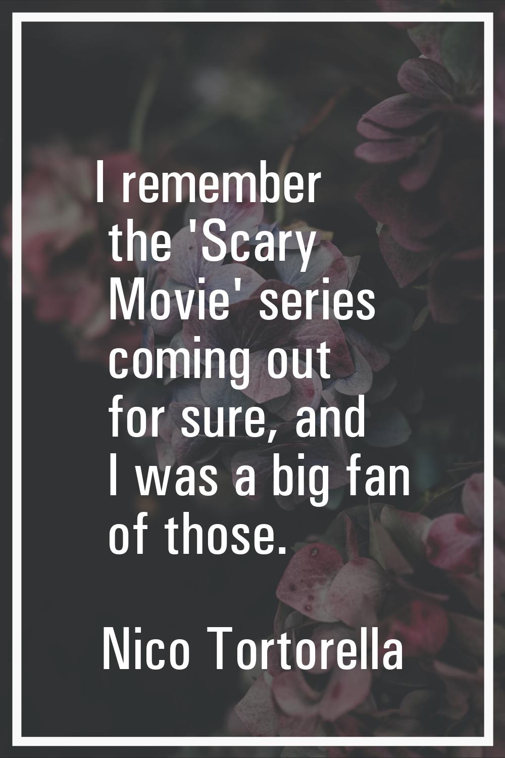 I remember the 'Scary Movie' series coming out for sure, and I was a big fan of those.
