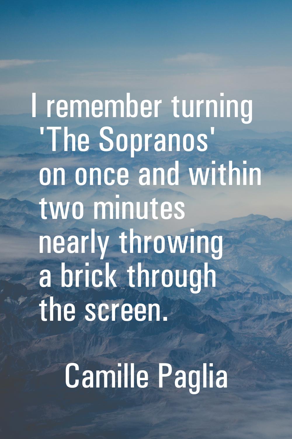 I remember turning 'The Sopranos' on once and within two minutes nearly throwing a brick through th