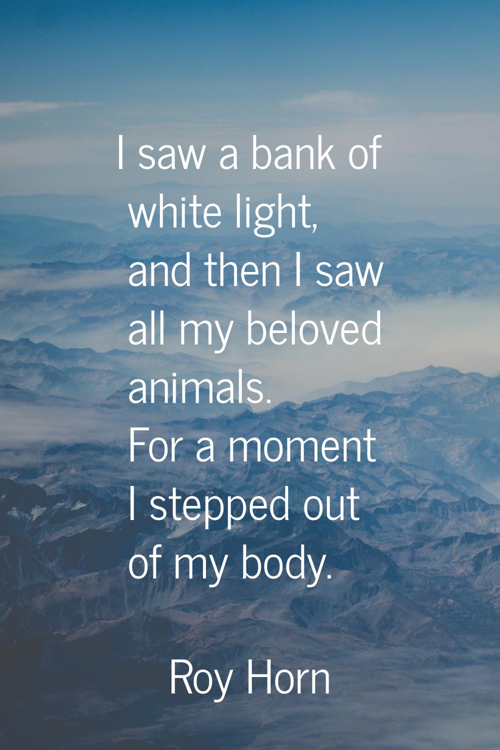 I saw a bank of white light, and then I saw all my beloved animals. For a moment I stepped out of m