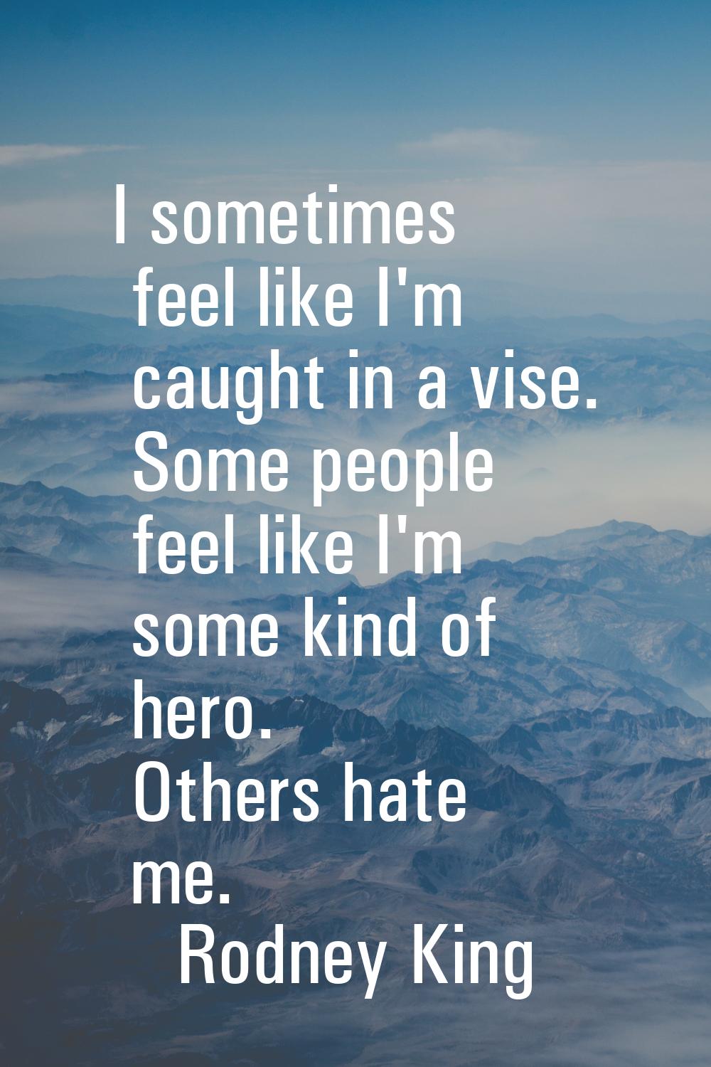 I sometimes feel like I'm caught in a vise. Some people feel like I'm some kind of hero. Others hat