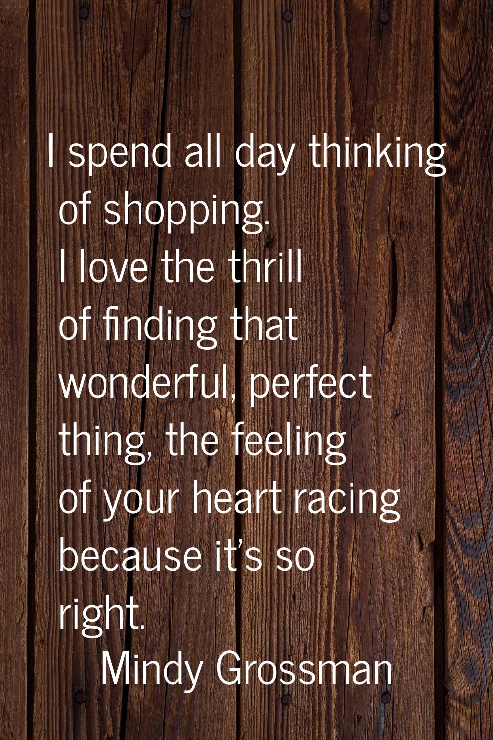 I spend all day thinking of shopping. I love the thrill of finding that wonderful, perfect thing, t