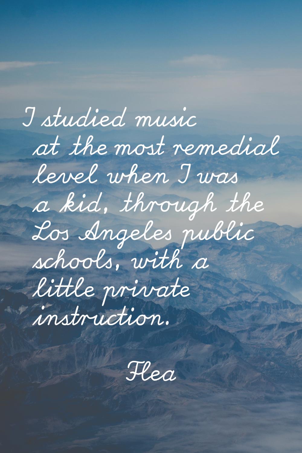 I studied music at the most remedial level when I was a kid, through the Los Angeles public schools