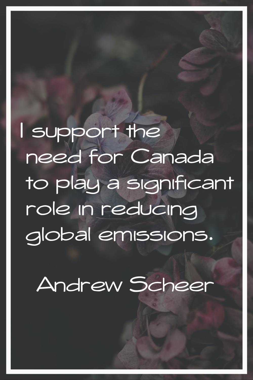 I support the need for Canada to play a significant role in reducing global emissions.
