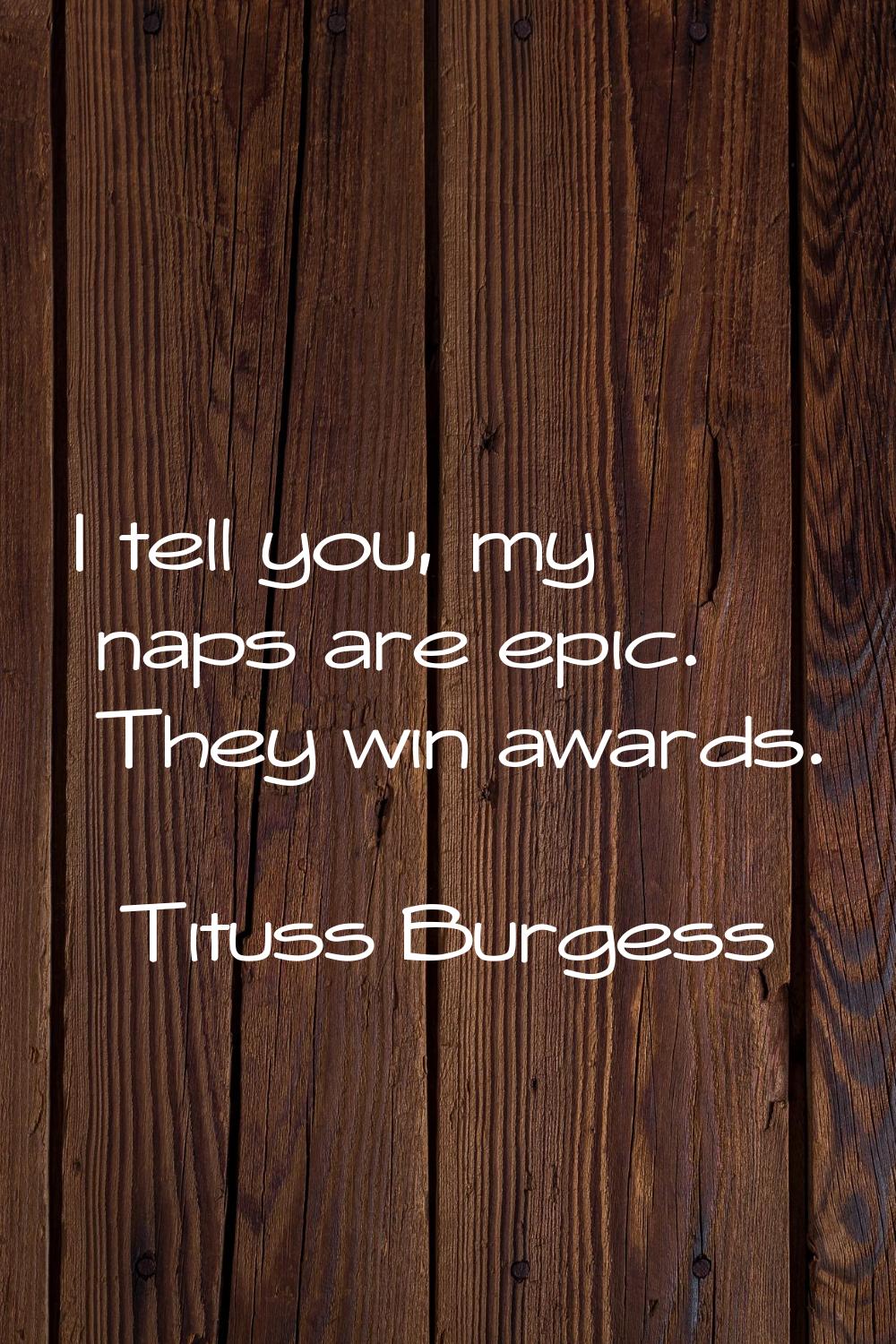 I tell you, my naps are epic. They win awards.