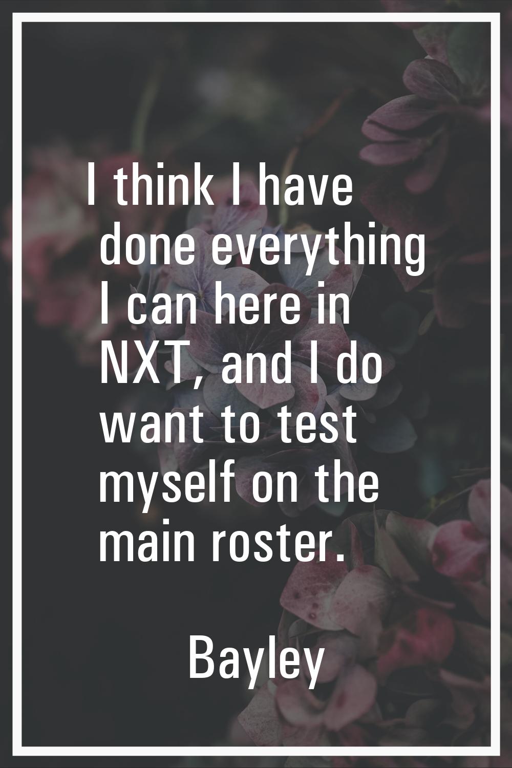 I think I have done everything I can here in NXT, and I do want to test myself on the main roster.