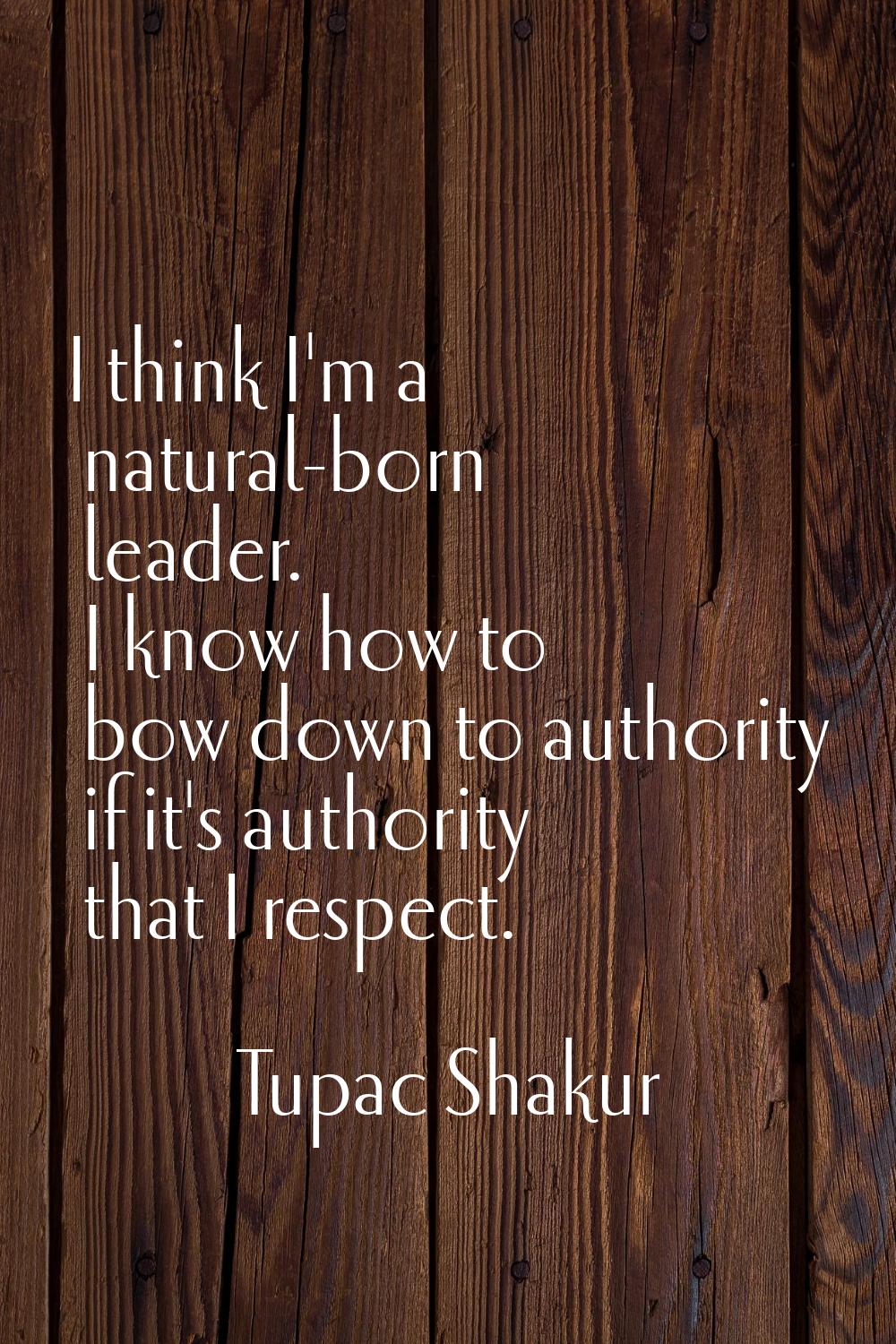 I think I'm a natural-born leader. I know how to bow down to authority if it's authority that I res