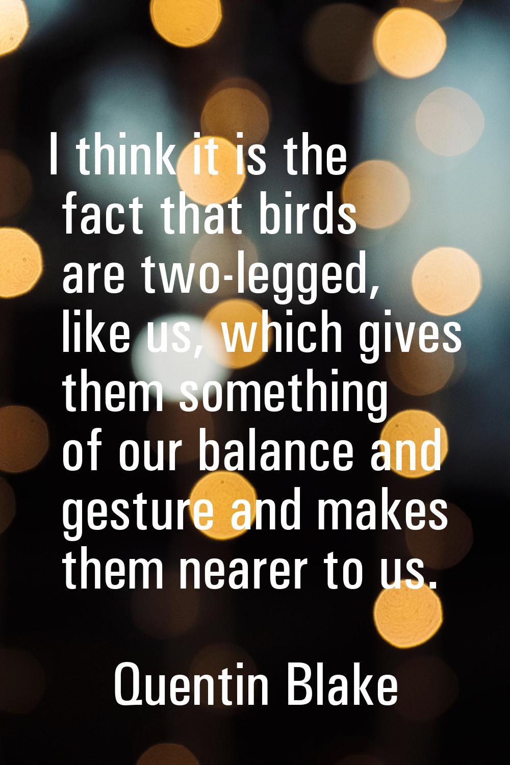 I think it is the fact that birds are two-legged, like us, which gives them something of our balanc