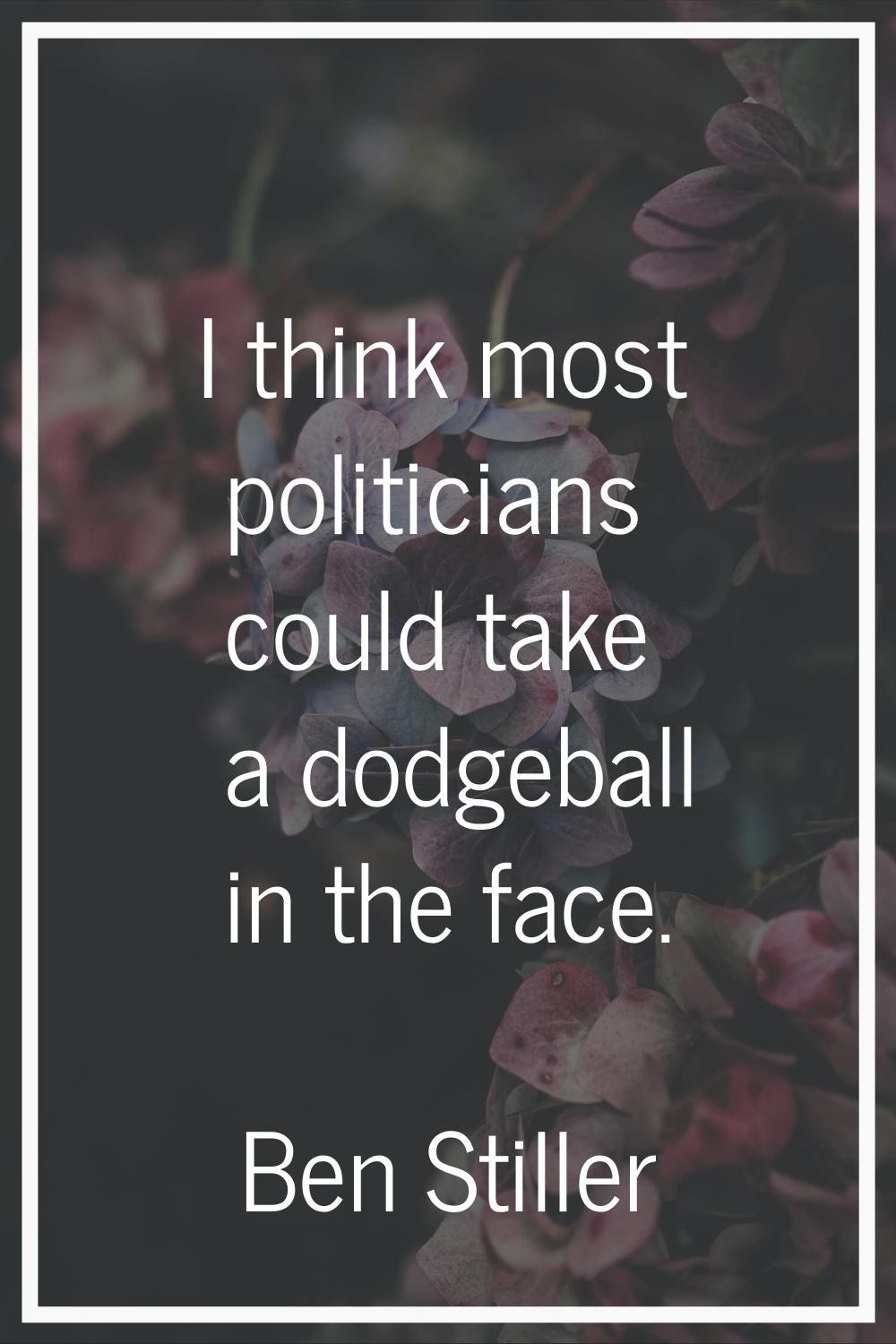 I think most politicians could take a dodgeball in the face.