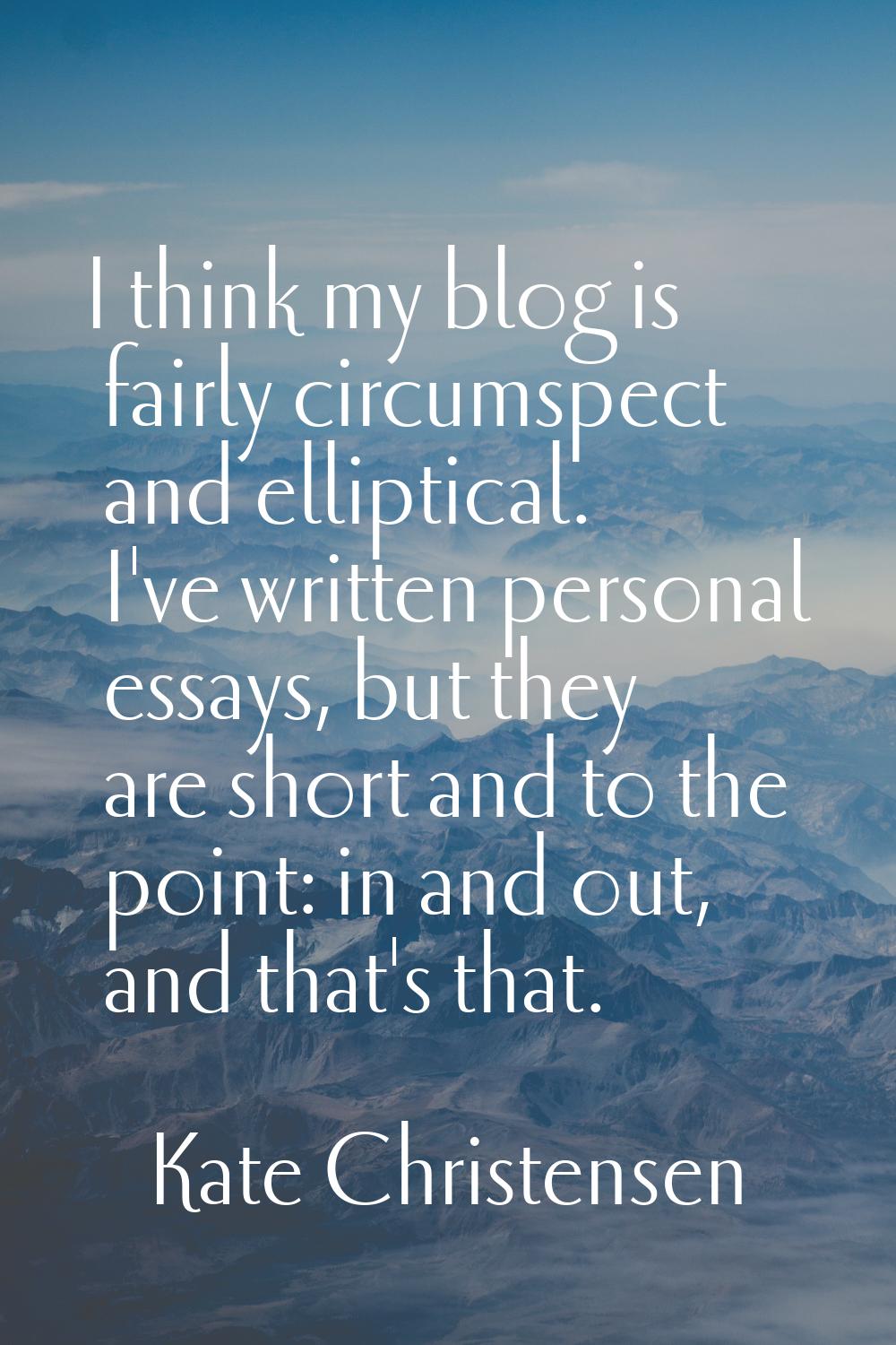 I think my blog is fairly circumspect and elliptical. I've written personal essays, but they are sh