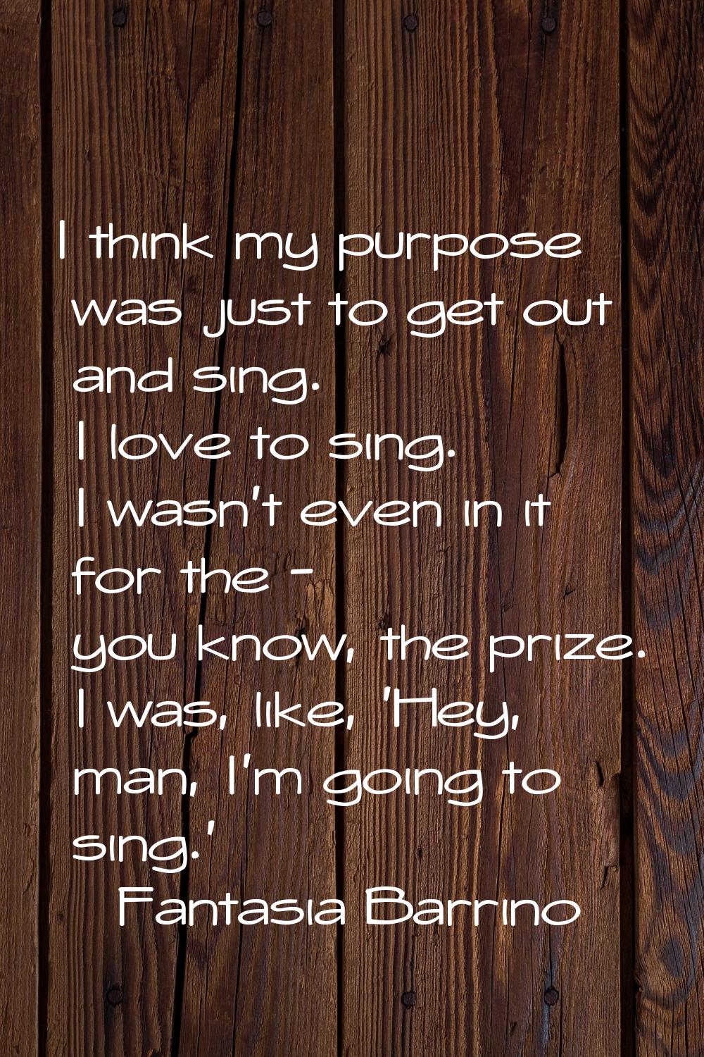 I think my purpose was just to get out and sing. I love to sing. I wasn't even in it for the - you 