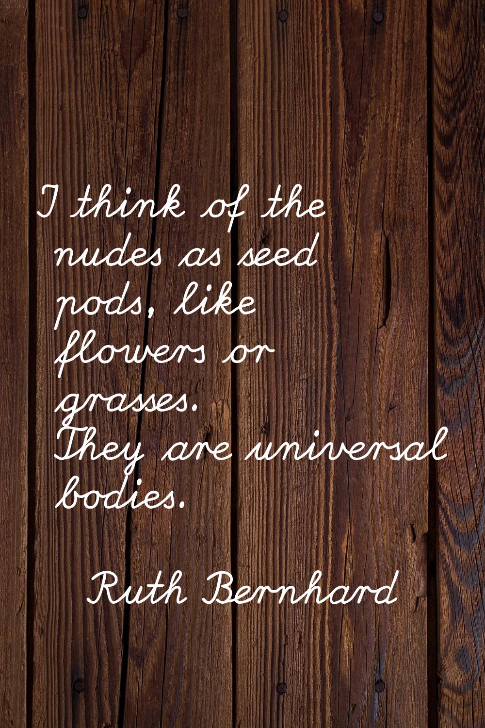 I think of the nudes as seed pods, like flowers or grasses. They are universal bodies.