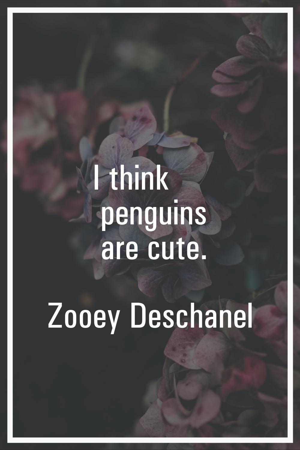 I think penguins are cute.