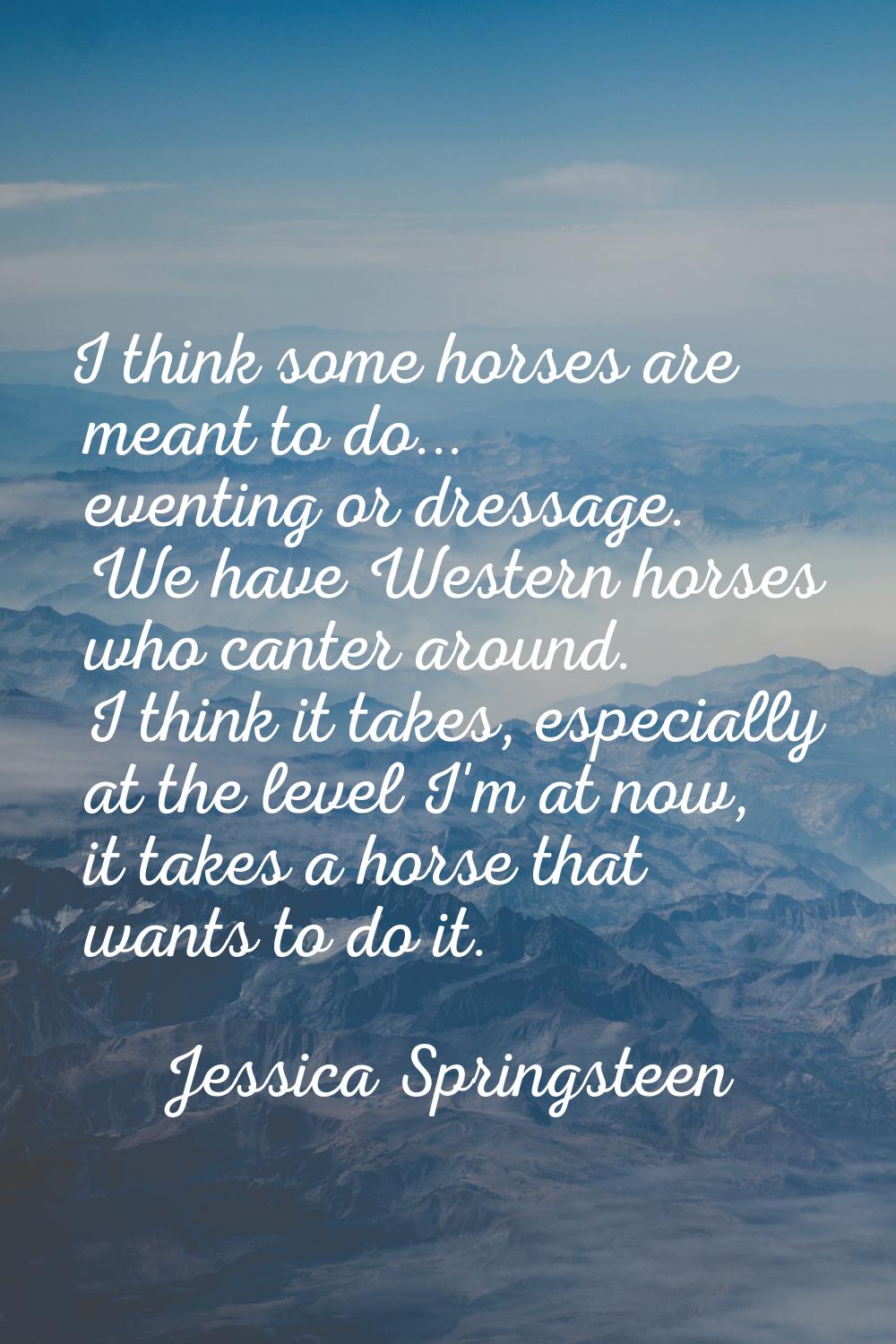 I think some horses are meant to do... eventing or dressage. We have Western horses who canter arou
