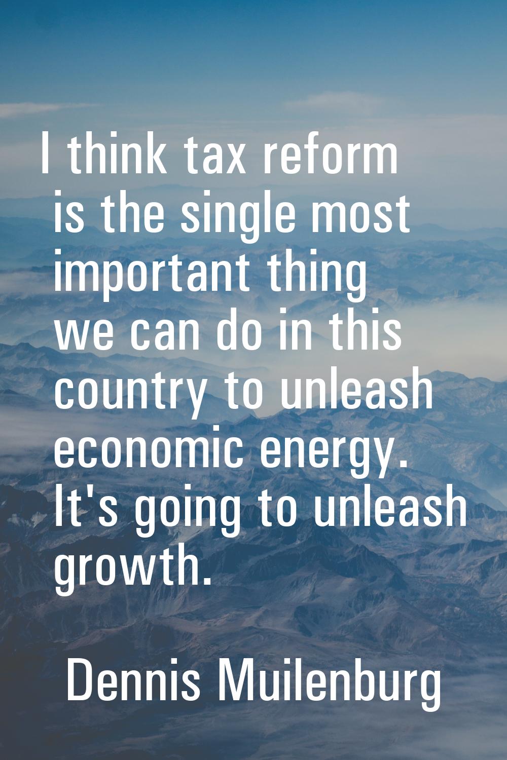 I think tax reform is the single most important thing we can do in this country to unleash economic