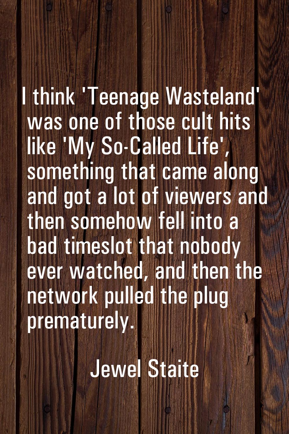 I think 'Teenage Wasteland' was one of those cult hits like 'My So-Called Life', something that cam