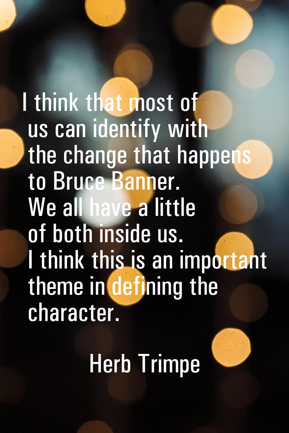 I think that most of us can identify with the change that happens to Bruce Banner. We all have a li
