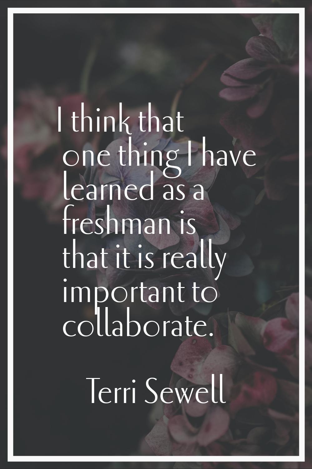I think that one thing I have learned as a freshman is that it is really important to collaborate.