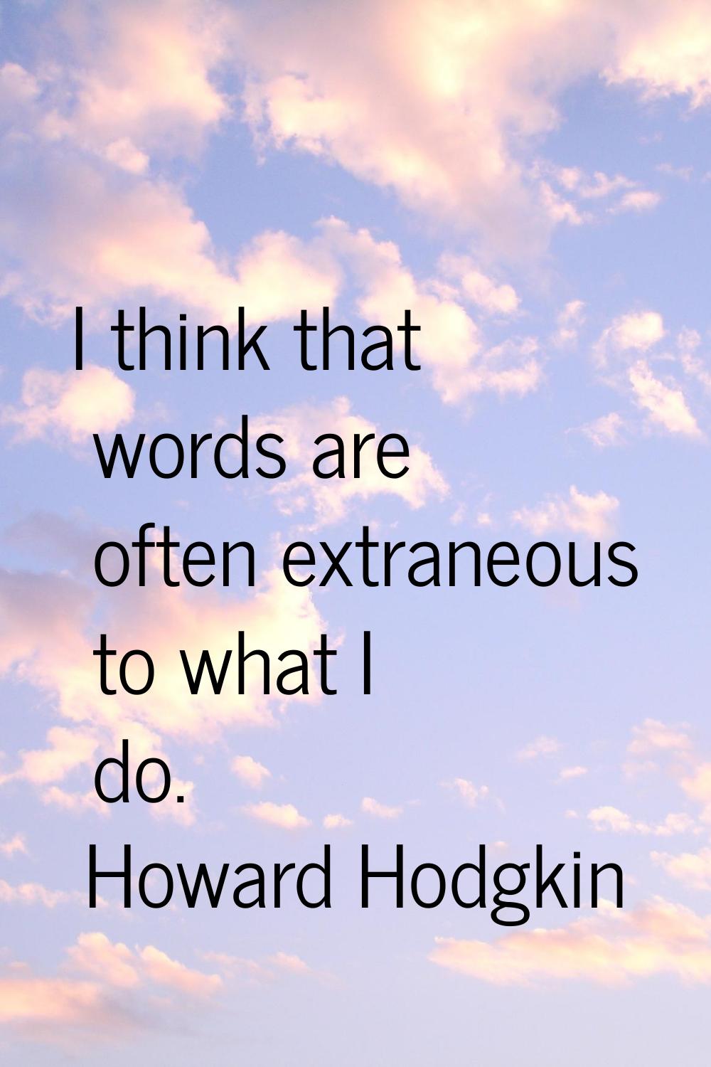 I think that words are often extraneous to what I do.