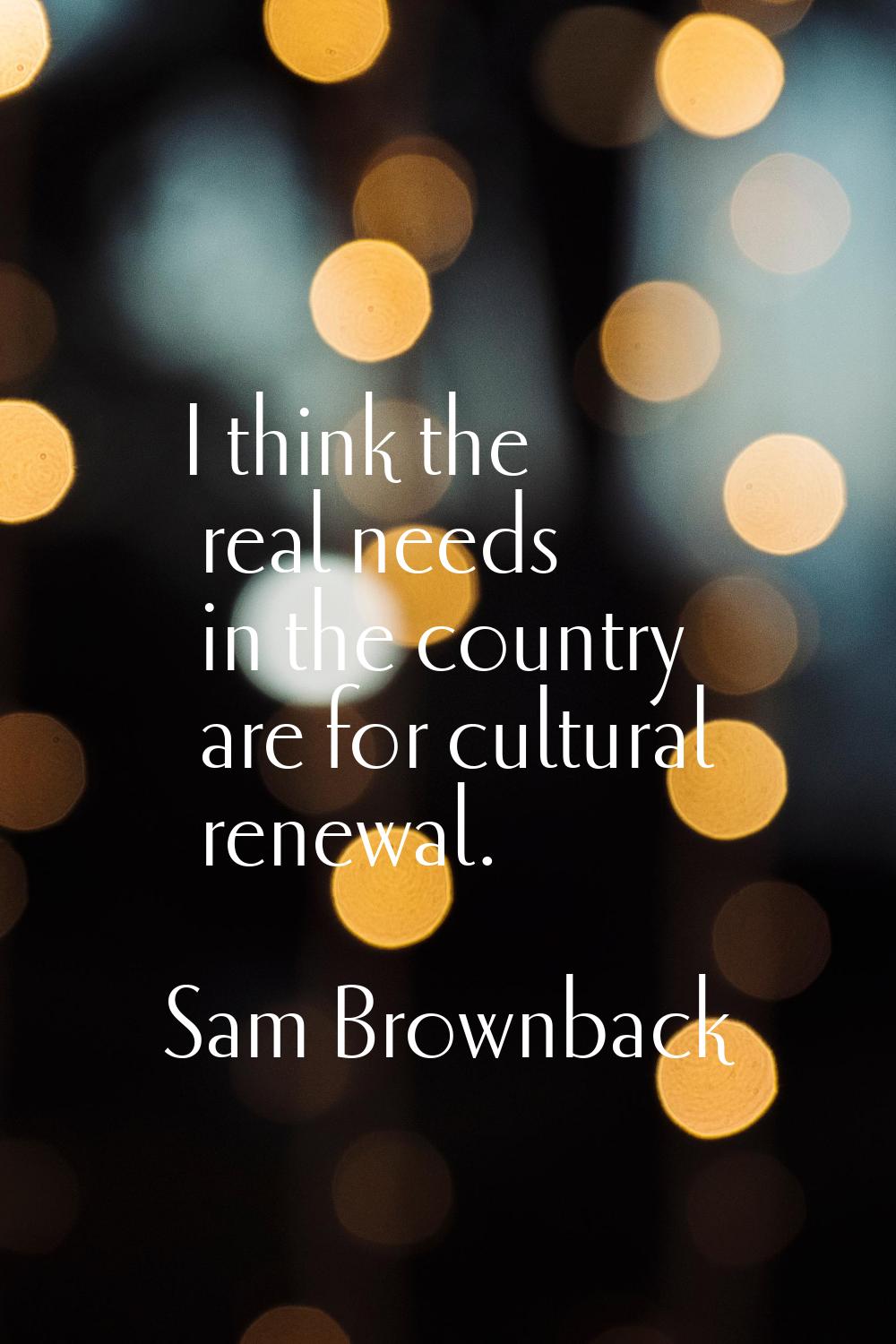 I think the real needs in the country are for cultural renewal.