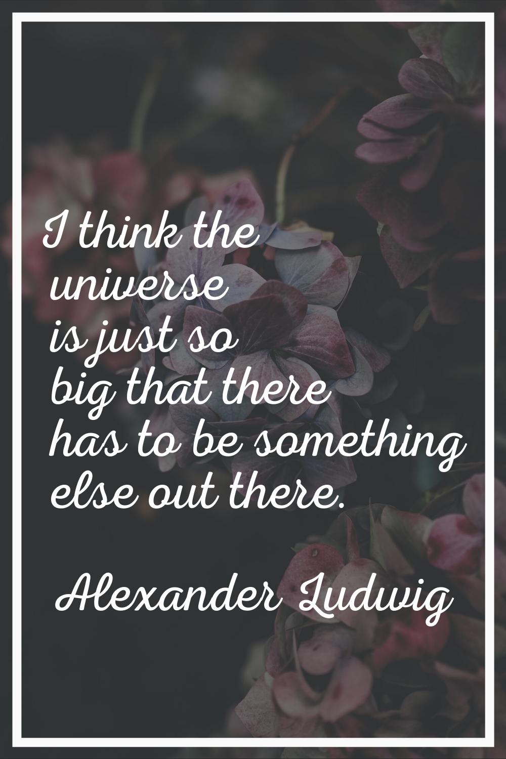 I think the universe is just so big that there has to be something else out there.