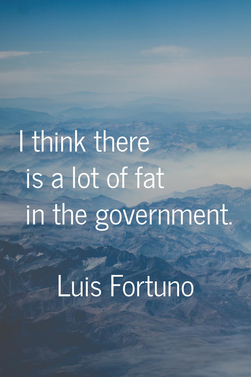 I think there is a lot of fat in the government.