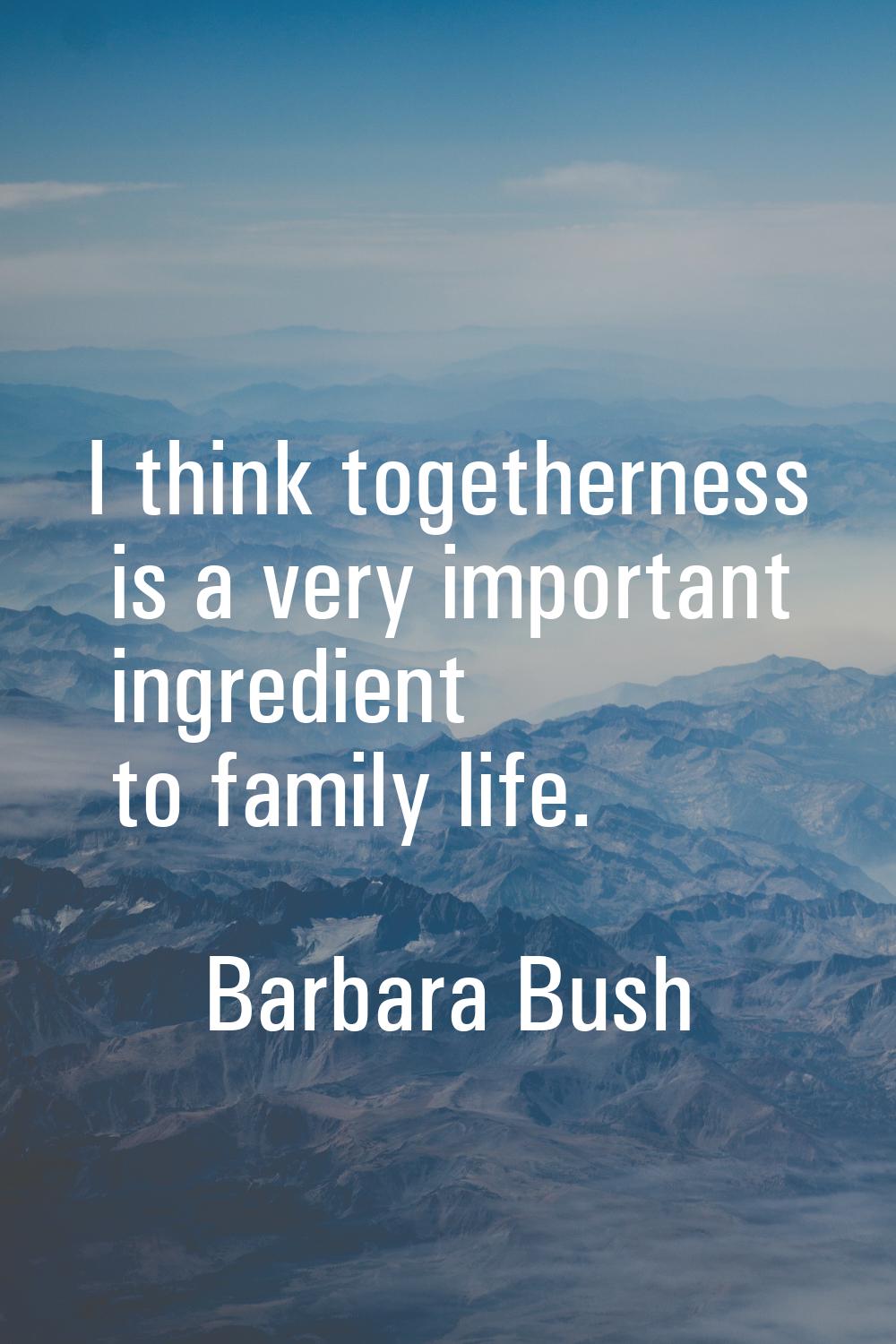 I think togetherness is a very important ingredient to family life.