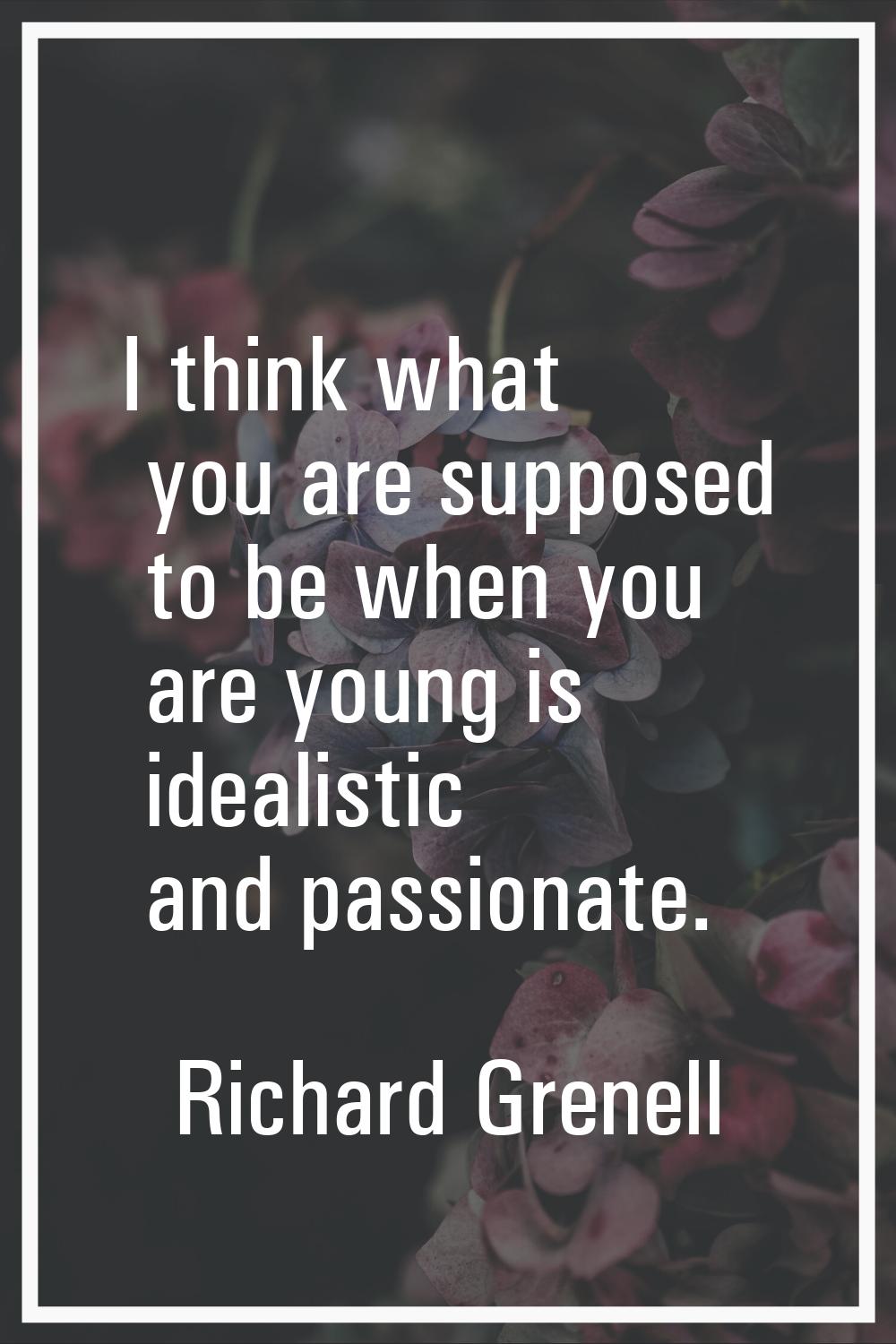 I think what you are supposed to be when you are young is idealistic and passionate.