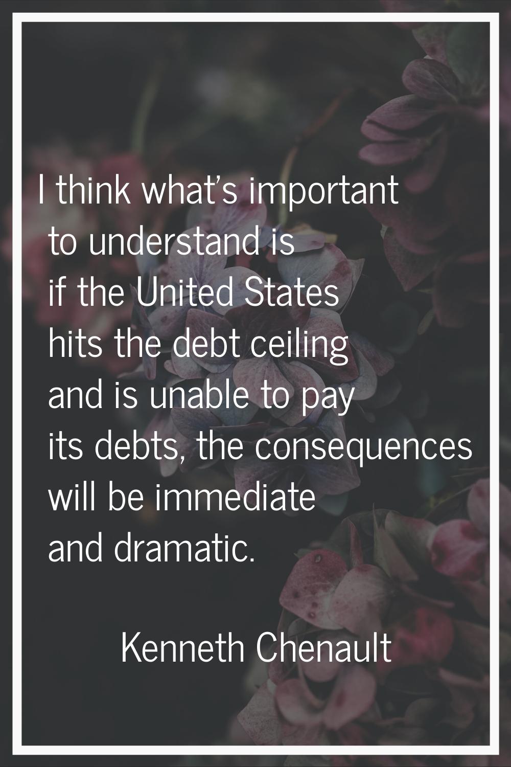 I think what's important to understand is if the United States hits the debt ceiling and is unable 