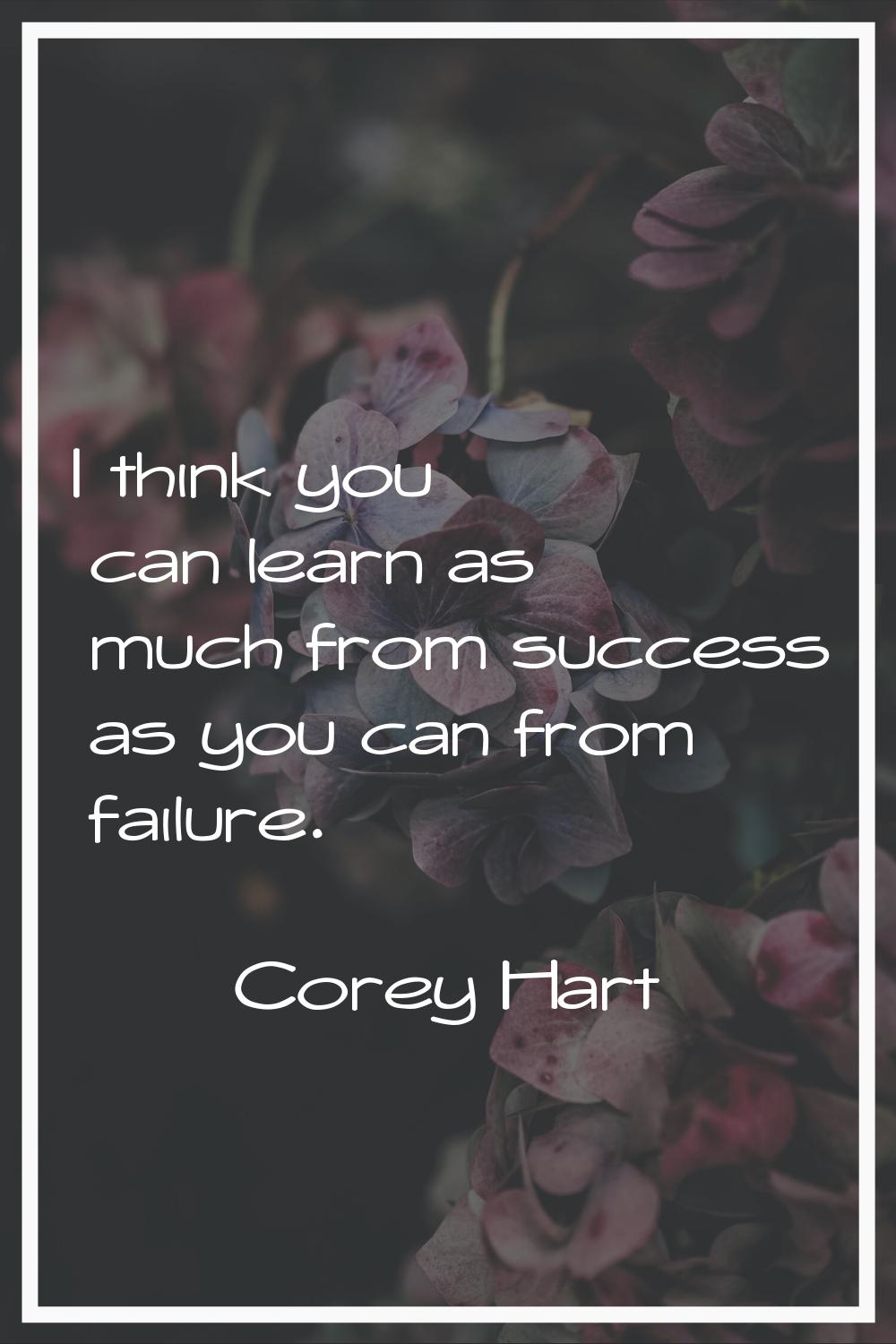 I think you can learn as much from success as you can from failure.
