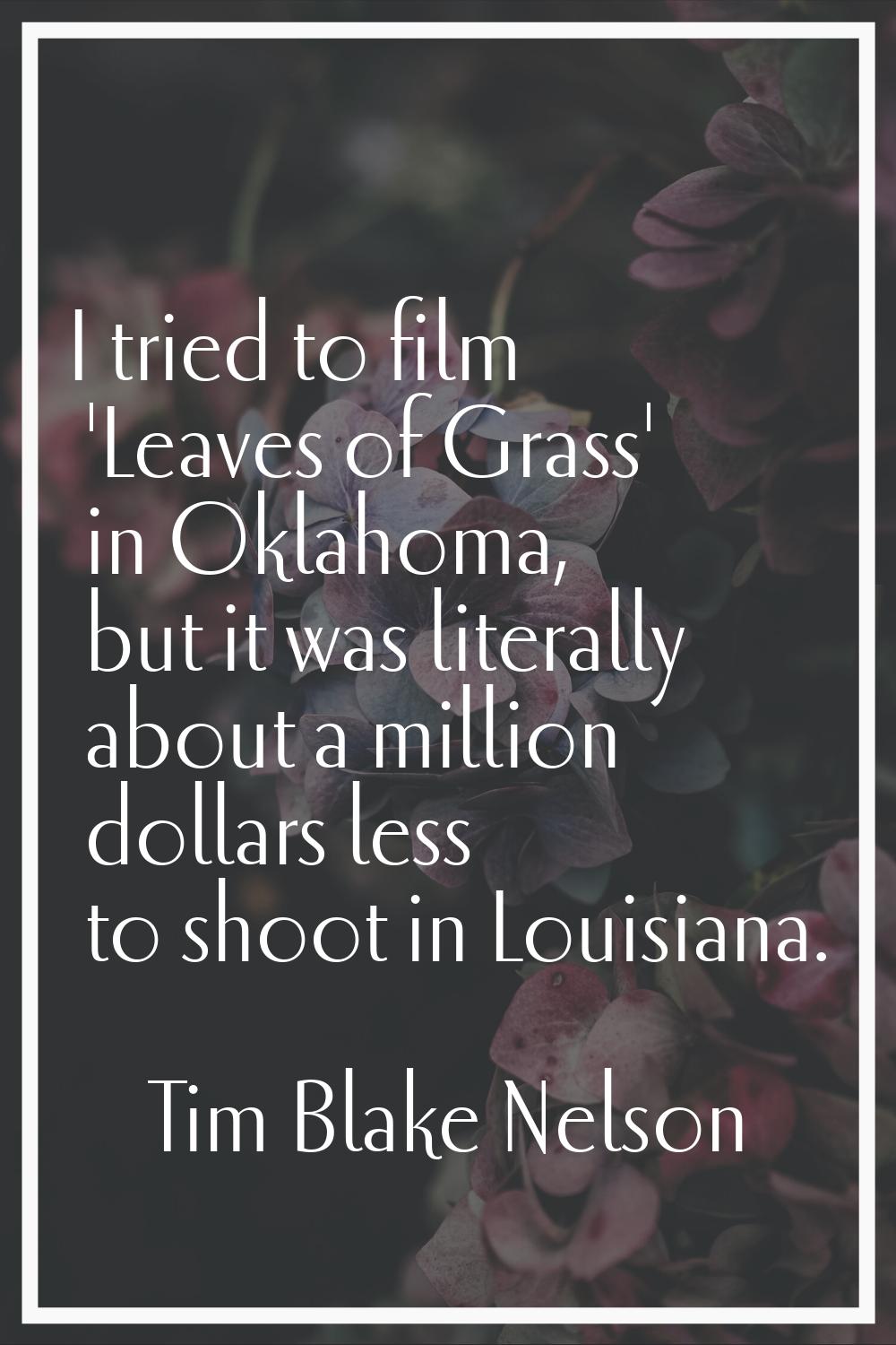 I tried to film 'Leaves of Grass' in Oklahoma, but it was literally about a million dollars less to