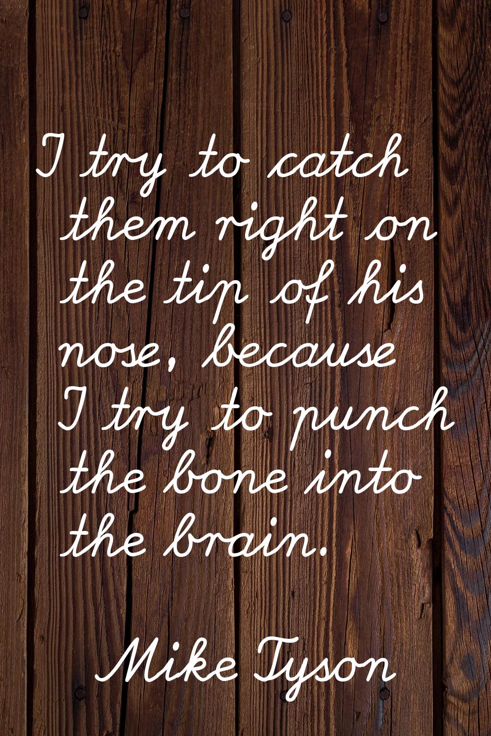 I try to catch them right on the tip of his nose, because I try to punch the bone into the brain.