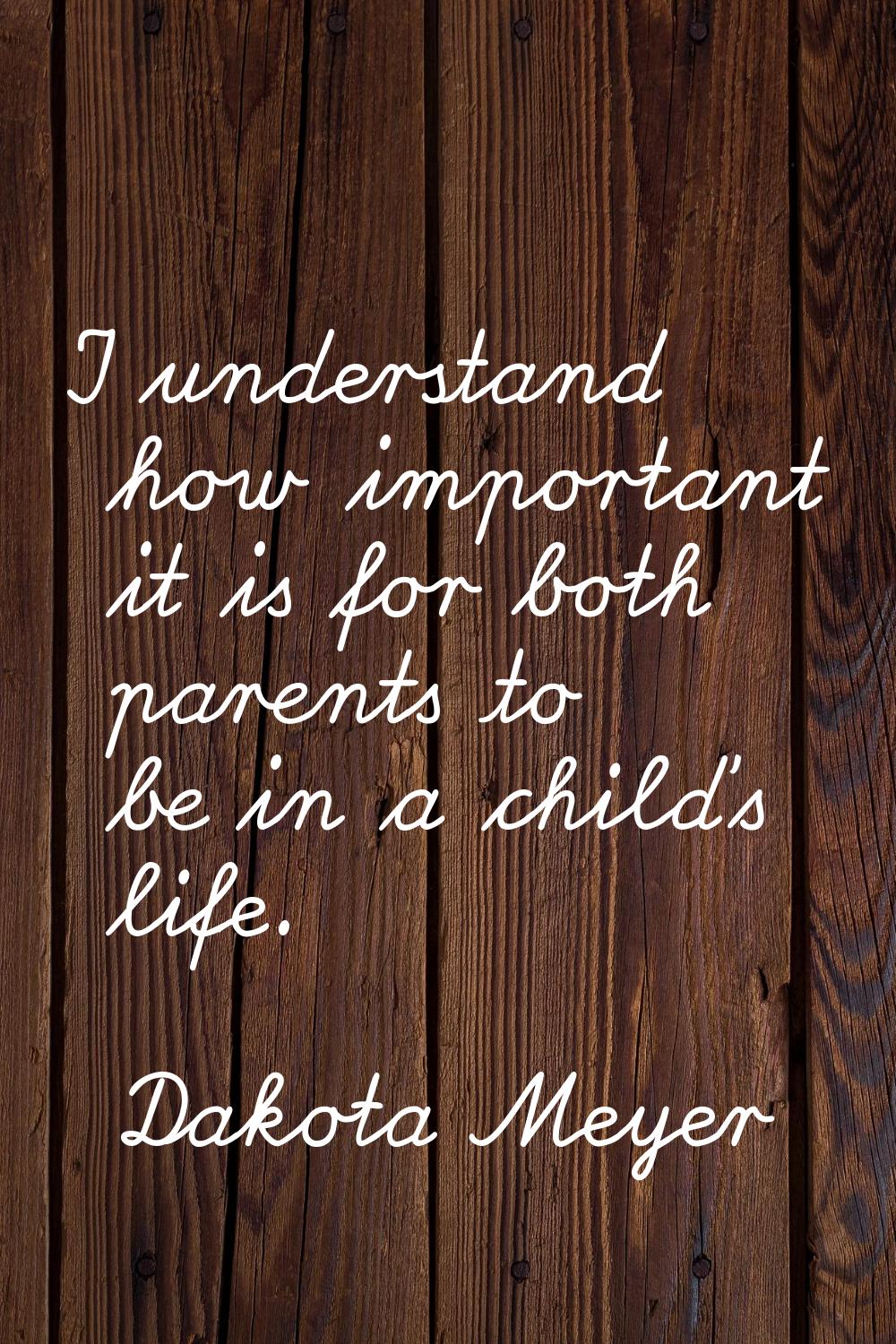 I understand how important it is for both parents to be in a child's life.